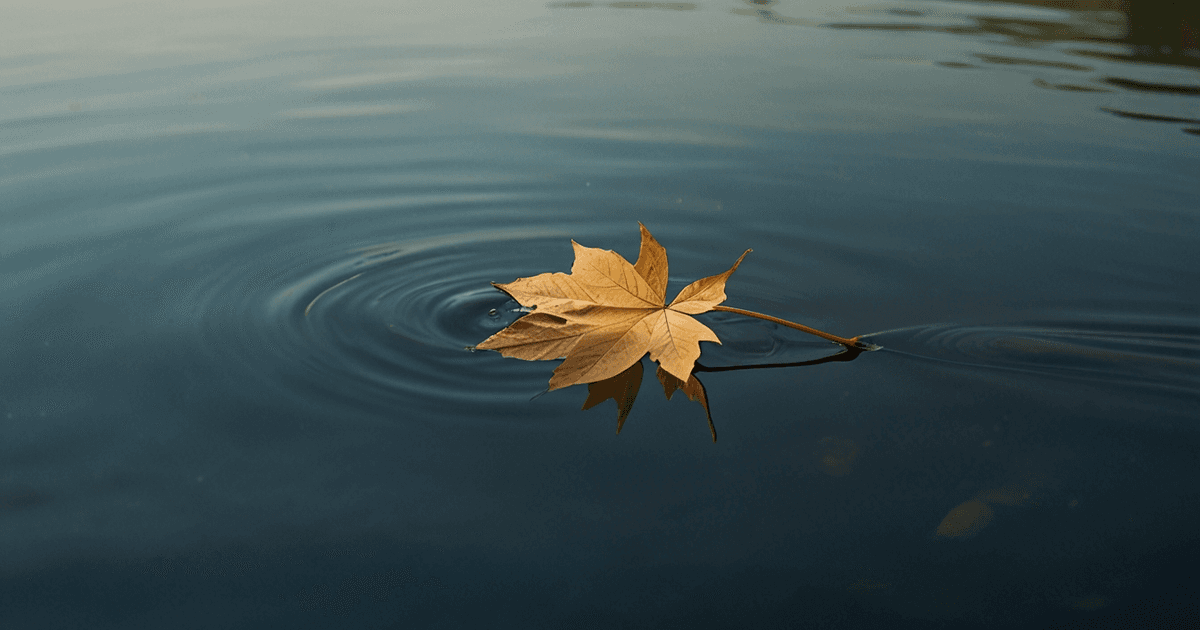 A Three-Line Monthly Saving Plan When Budgeting Feels Too Heavy, a financial wellness article by FINAV